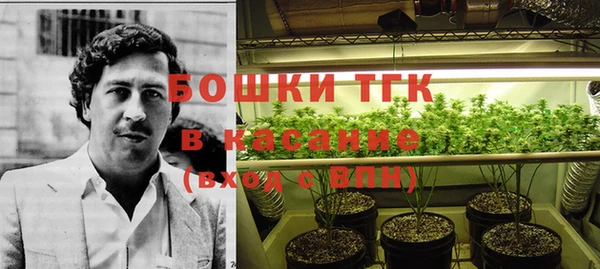 прущая мука Алзамай
