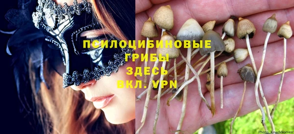 прущая мука Алексин