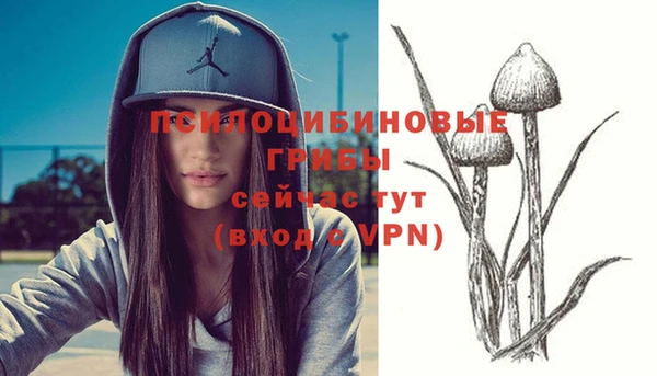 2c-b Абдулино